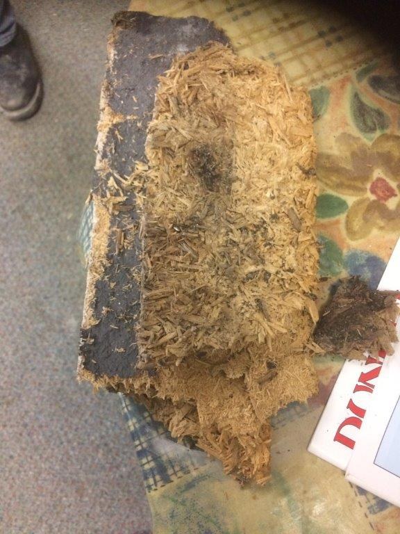 IMG 3495 St Stephen s RC Church Blairgowrie img-3495-st-stephen-s-rc-church-blairgowrie